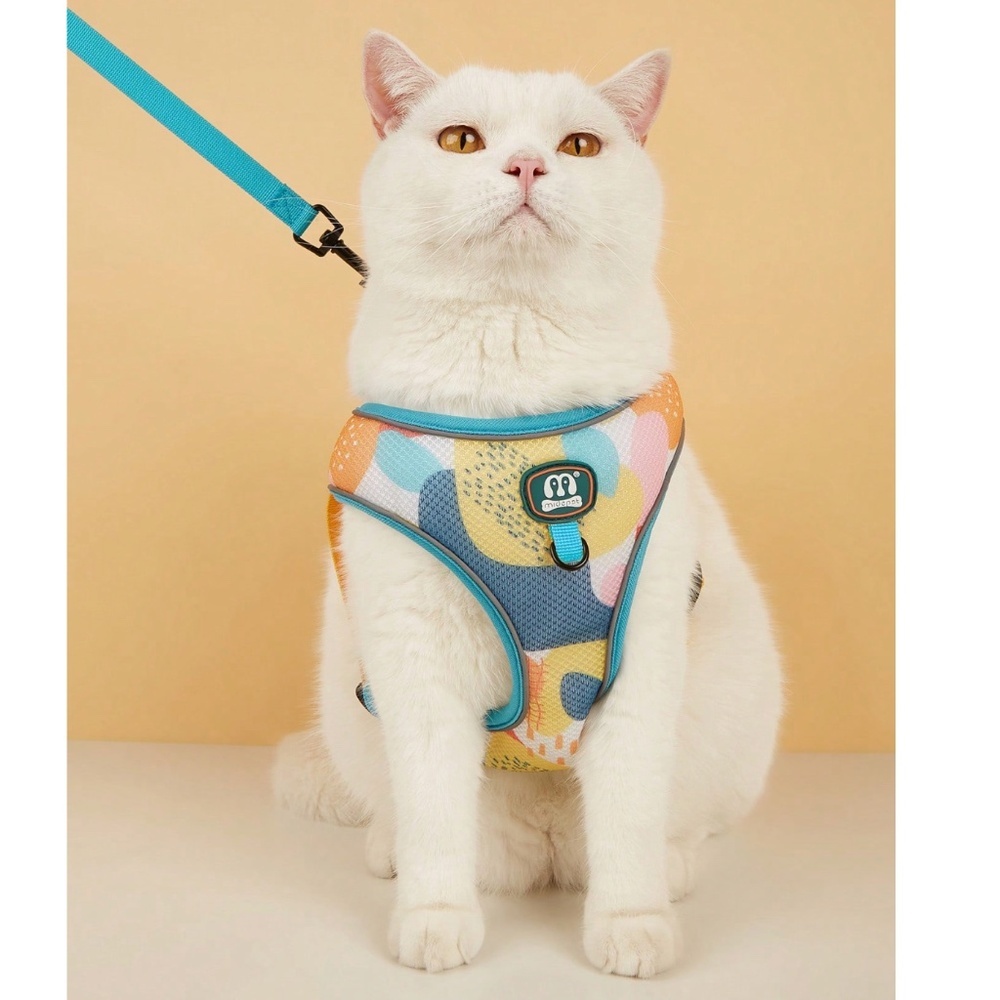 A Small Pet Harness Blue Multicolor + Leash